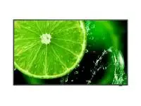 Широкоформатен дисплей NEC MultiSync E558, 55", UHD, 400cd/m2, Direct LED backlight, 16/7 proof, Media Player