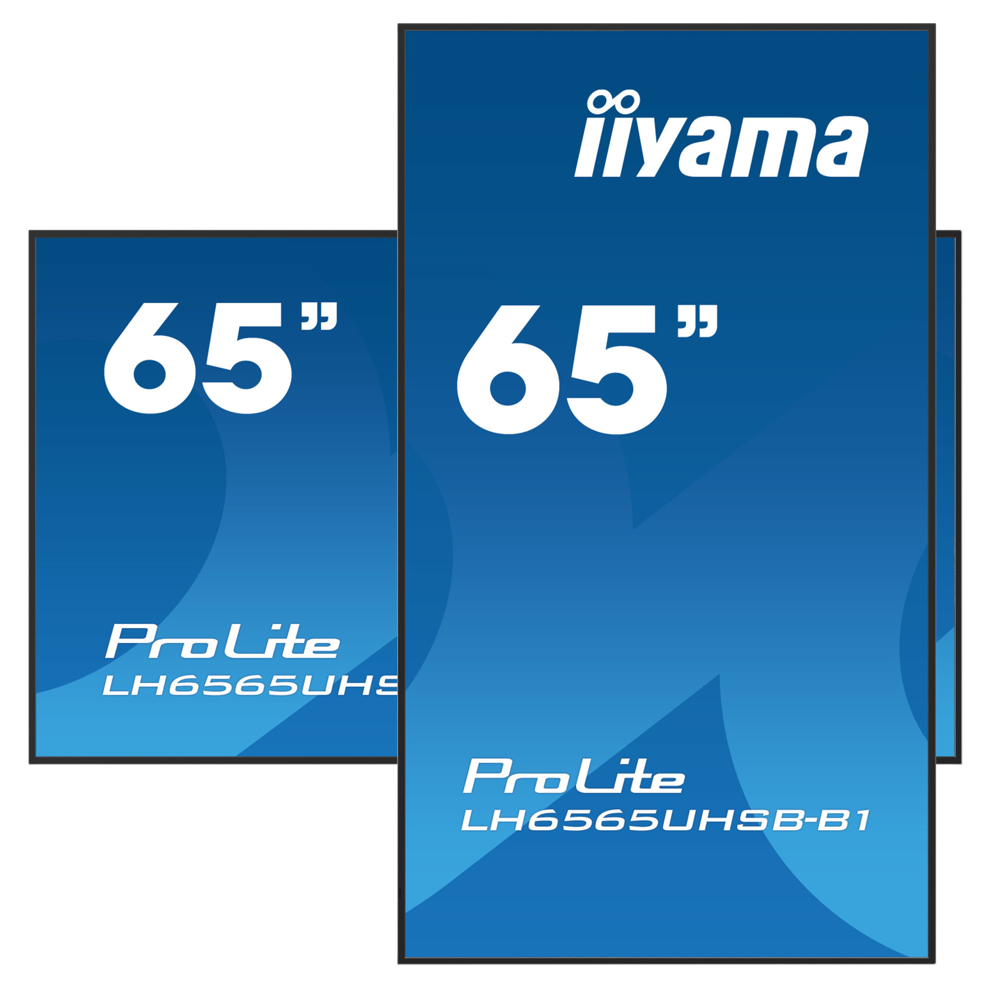 Дисплей IIYAMA LH6565UHSB-B1