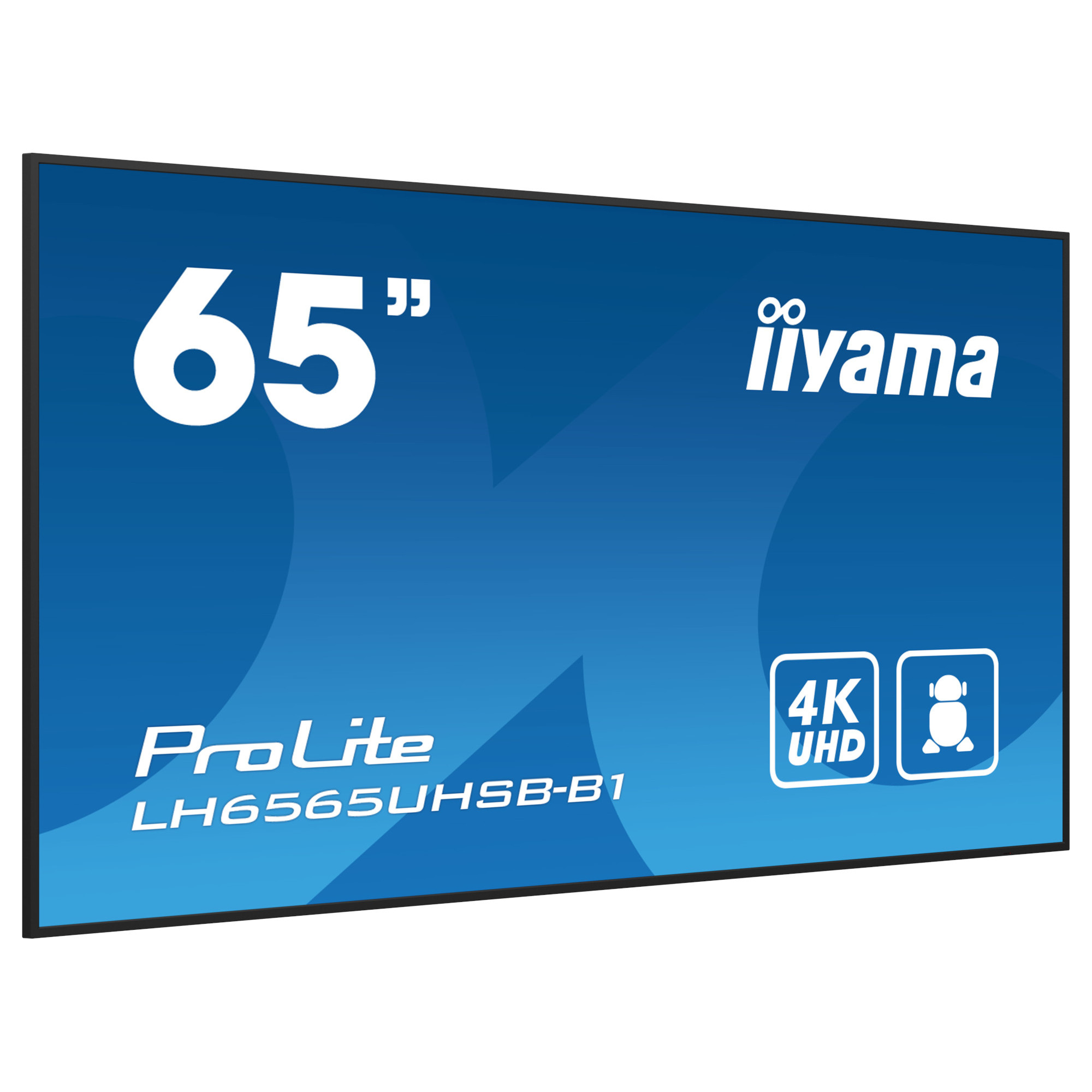 Дисплей IIYAMA LH6565UHSB-B1