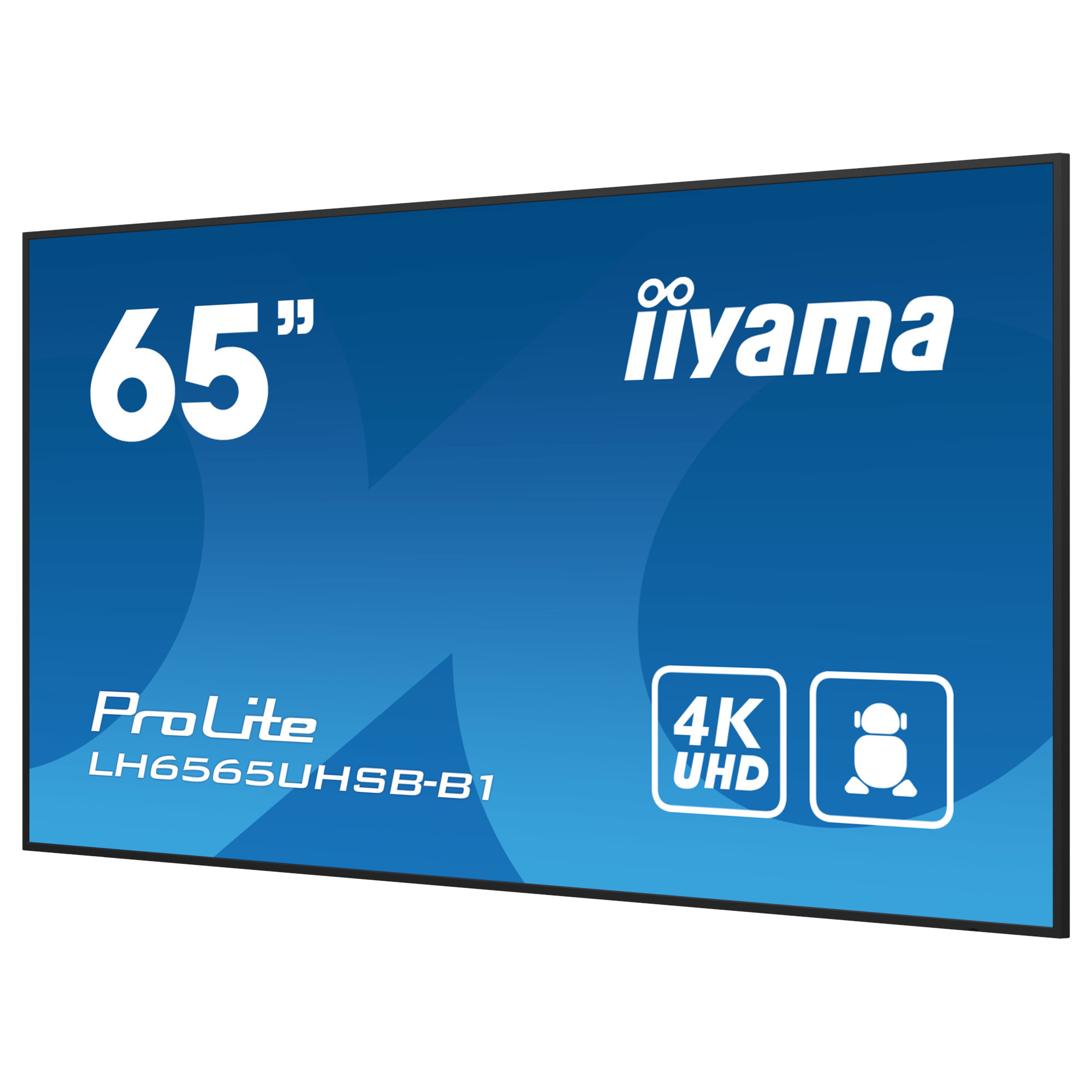 Дисплей IIYAMA LH6565UHSB-B1
