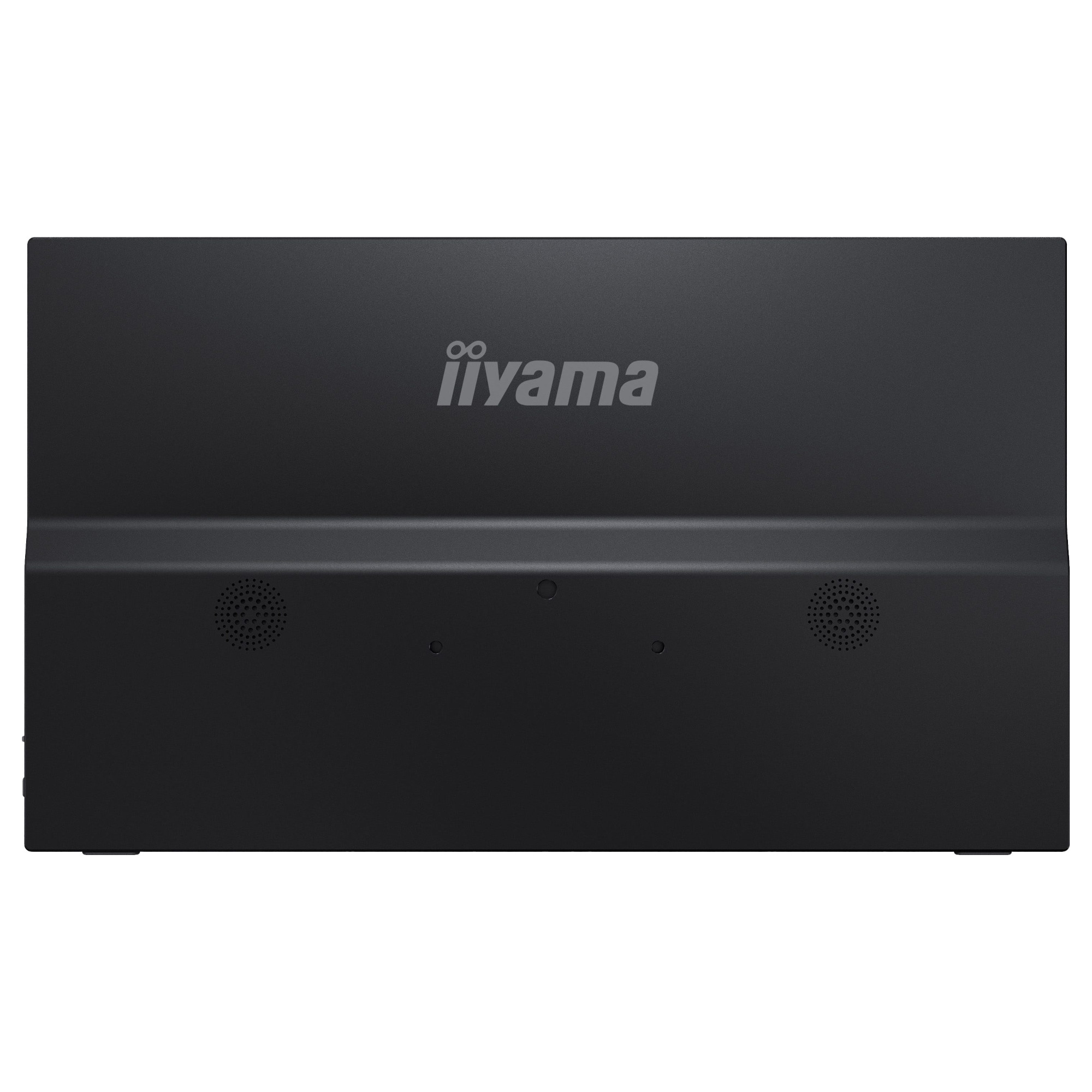 Монитор IIYAMA P1671HSC-B1