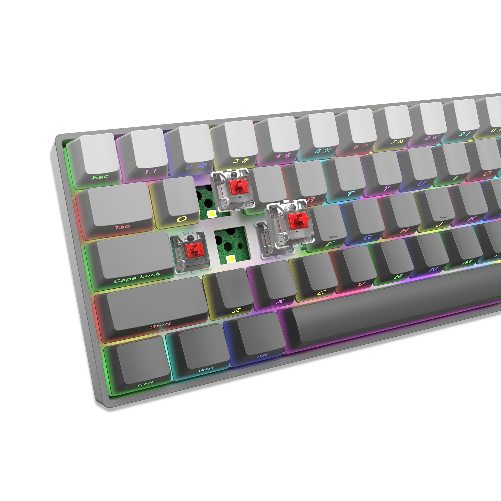 White Shark gaming mechanical keyboard Gaming Mechanical Keyboard NUNCHAKU - Red Switches (English US), Grey