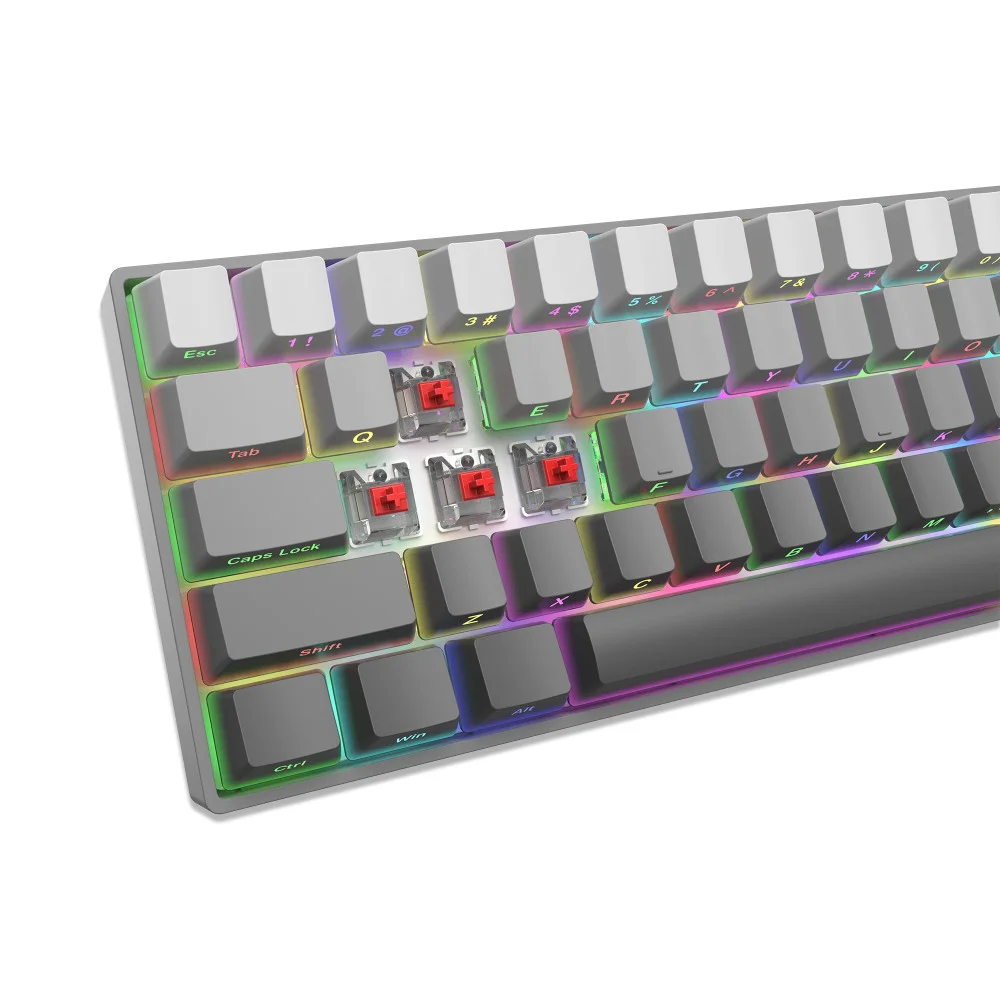 White Shark gaming mechanical keyboard Gaming Mechanical Keyboard NUNCHAKU - Red Switches (English US), Grey