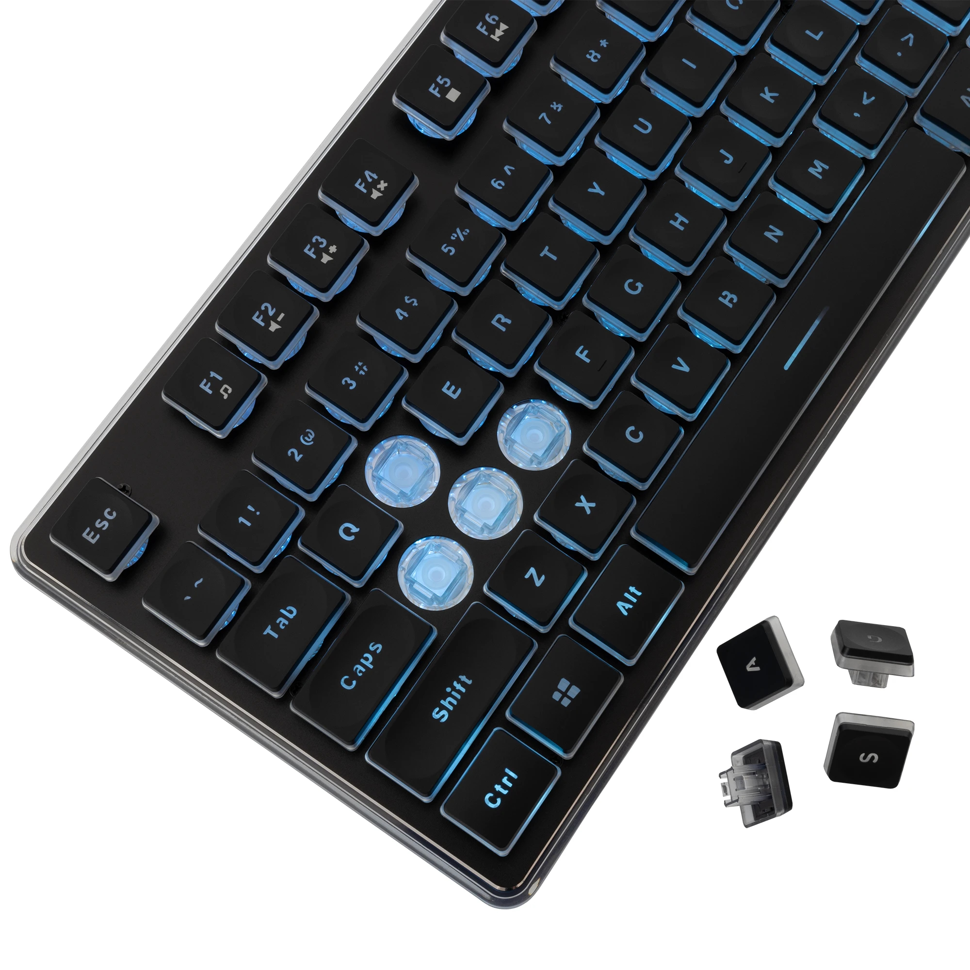 White Shark teclado gamer Gaming Keyboard TACHI - Low-Profile (English US), Negro