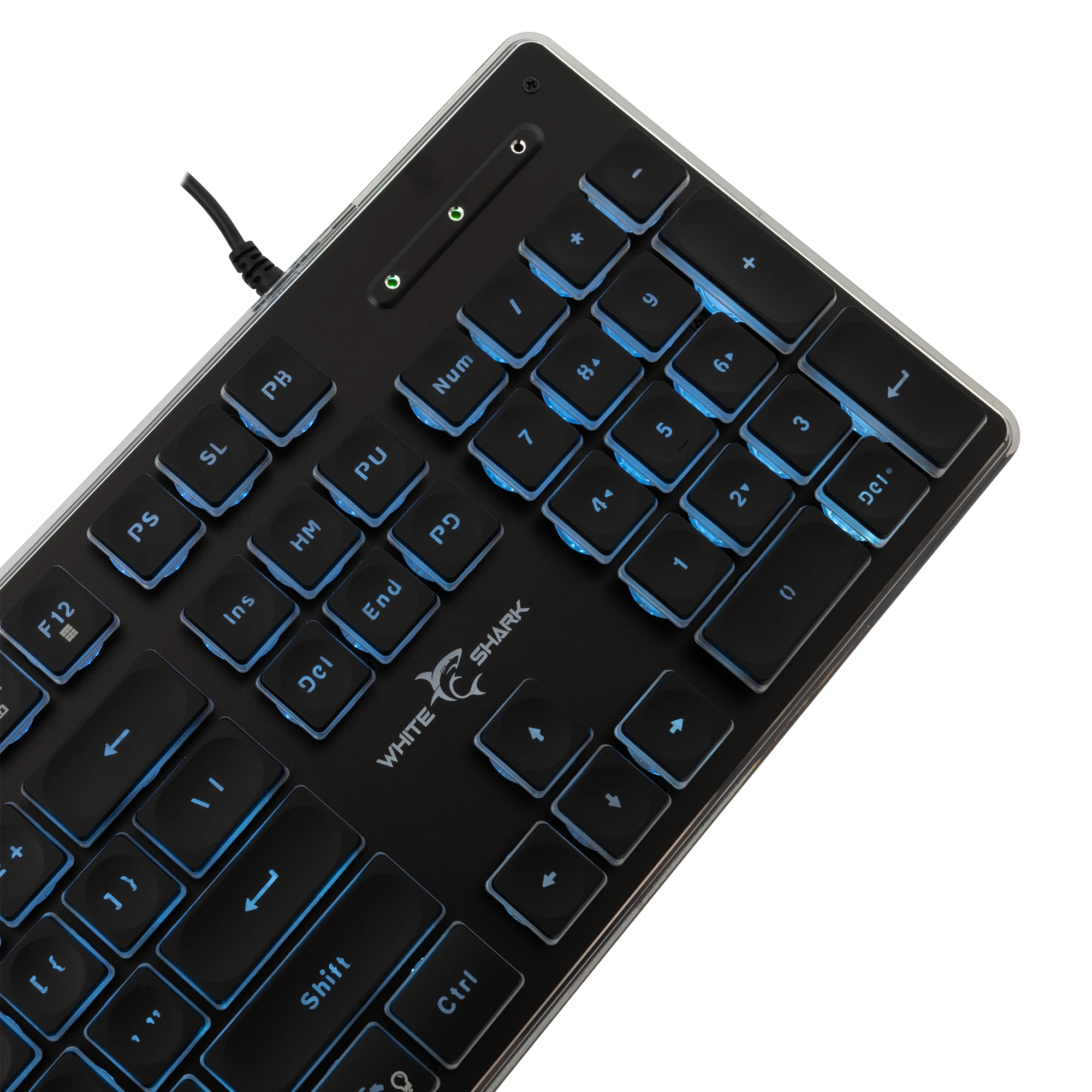 White Shark teclado gamer Gaming Keyboard TACHI - Low-Profile (English US), Negro