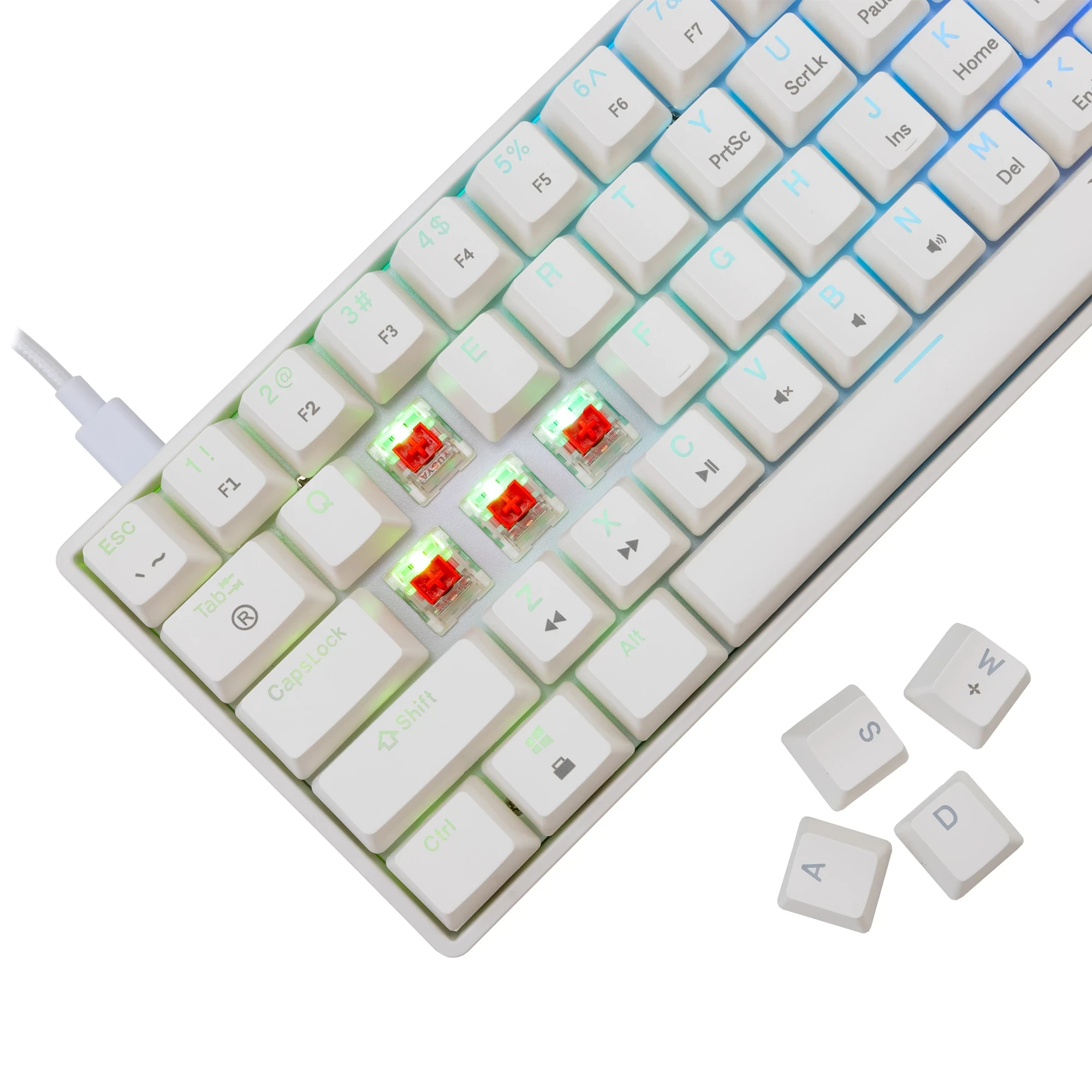 White Shark teclado gamer mecánico Gaming Mechanical Keyboard SHINOBI 2 - YUSYA 5P Red Switches (English US), Blanco