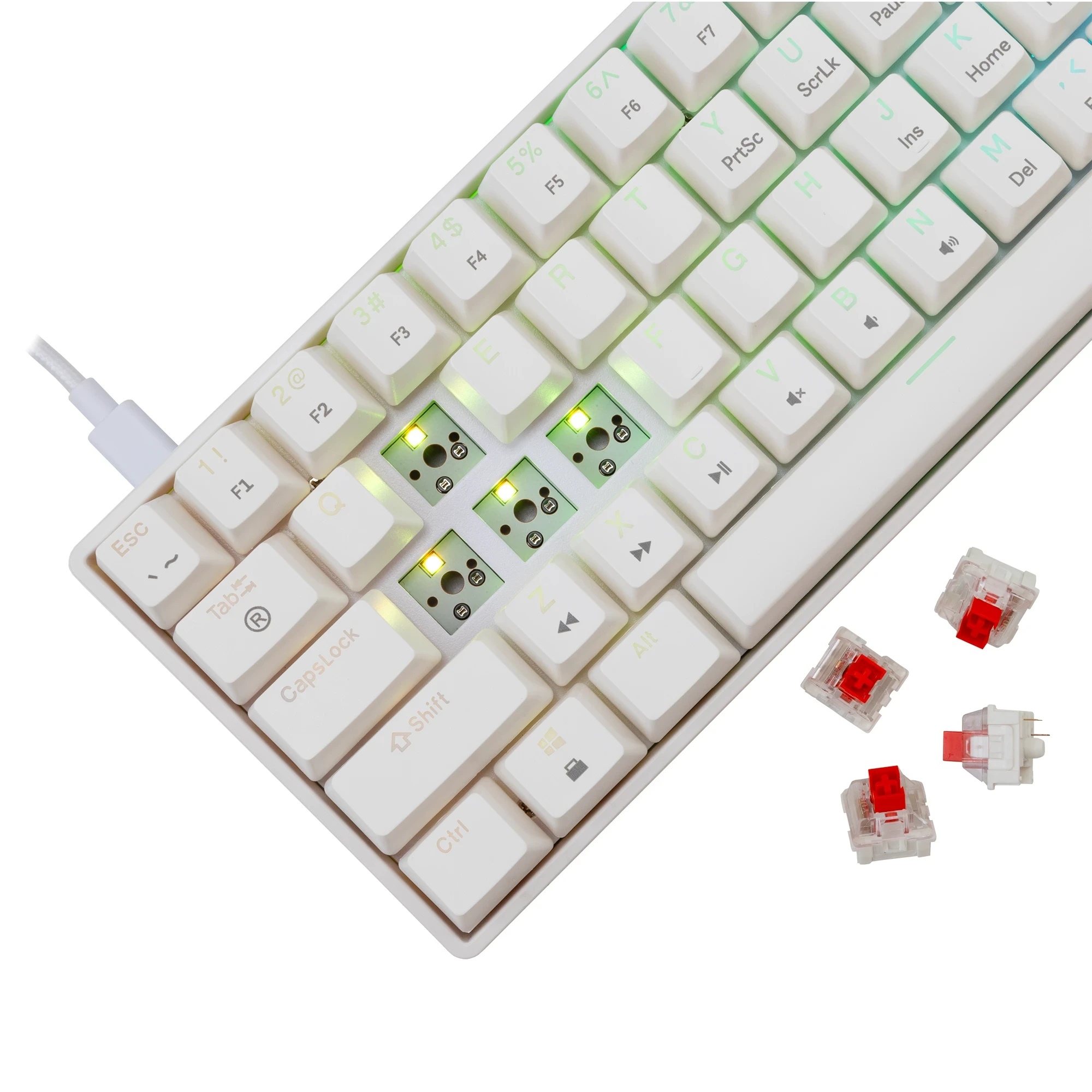 White Shark teclado gamer mecánico Gaming Mechanical Keyboard SHINOBI 2 - YUSYA 5P Red Switches (English US), Blanco