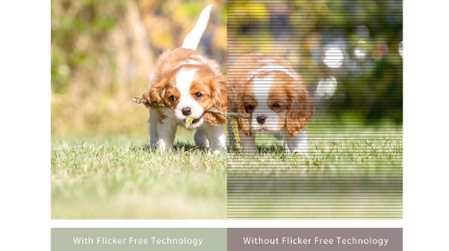Flicker Free Technology - кажете чао на изморените очи
